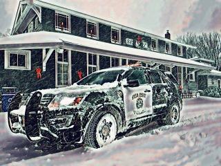Police at Library in Snow